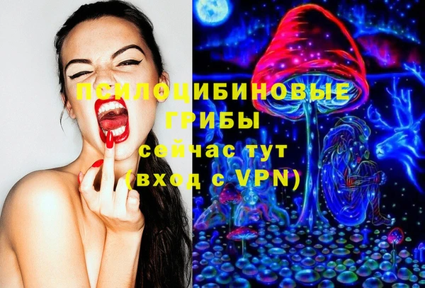прущие крисы Абинск