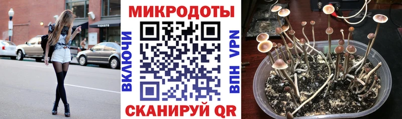 Псилоцибиновые грибы ЛСД  Иланский 